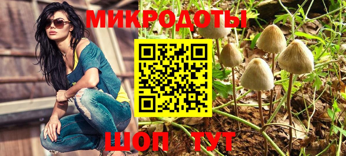 Конаково  купить наркоту  Вход с VPN  Псилоцибиновые грибы мицелий 