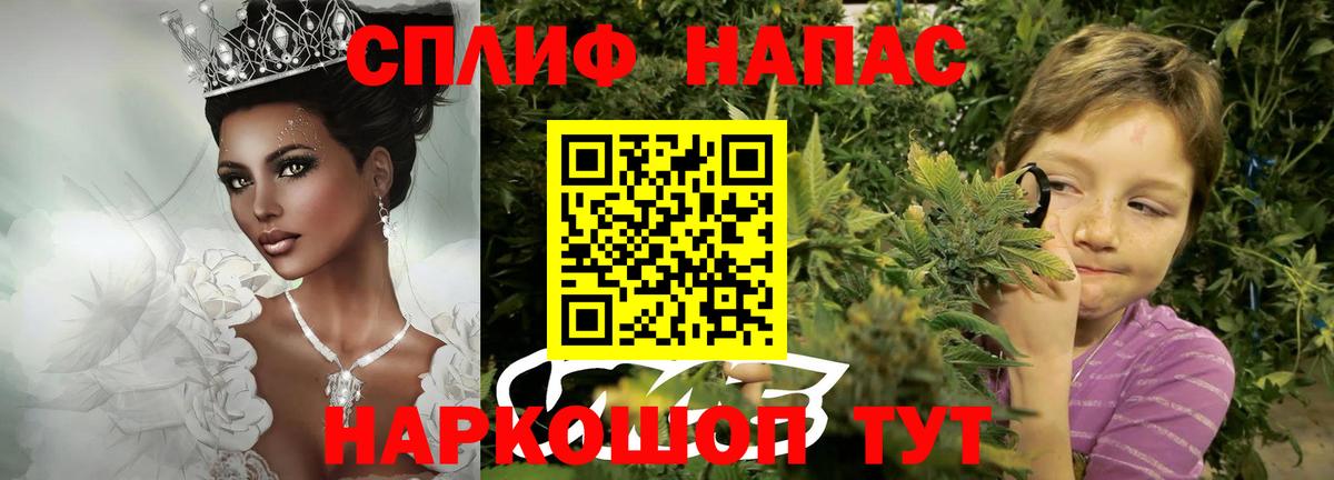 Каннабис MAZAR Конаково